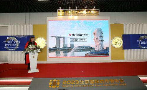 国际精品视频,探索国际影视艺术的璀璨星空